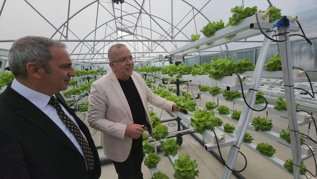 Amasya Üniversitesi Suluova Meslek Yüksekokulu (MYO) tarafından hazırlanan "Akıllı Seralar, Üreten...