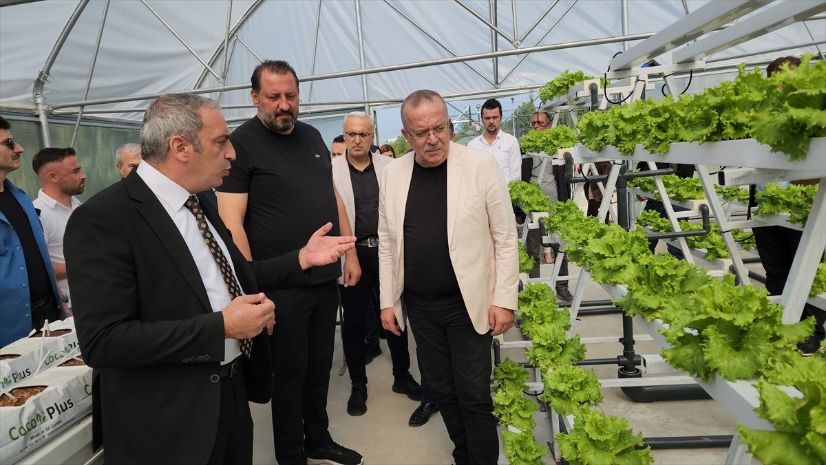 Amasya Üniversitesi Suluova Meslek Yüksekokulu (MYO) tarafından hazırlanan "Akıllı Seralar, Üreten...