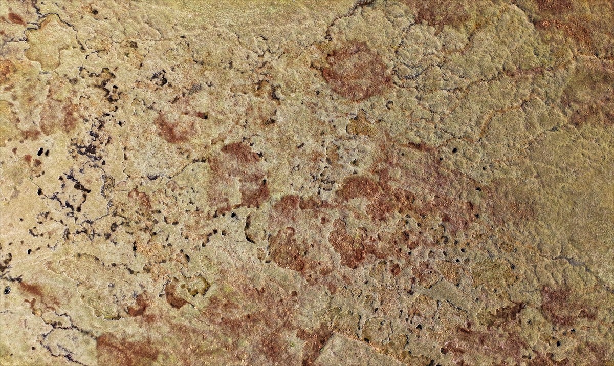 Trabzon'un Köprübaşı ilçesindeki "kesin korunacak hassas alan" olarak tescil edilen, Evliya...