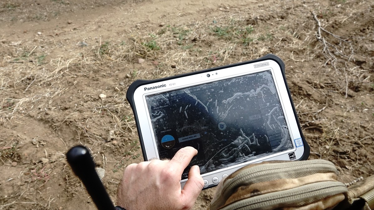 Türkiye'nin zeytinyağı üretiminin yüzde 10'unun karşılandığı Balıkesir'de zeytin hasadının...