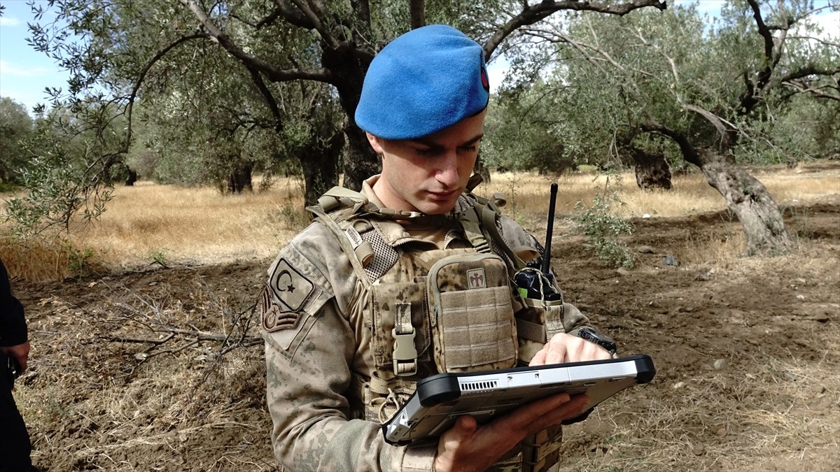 Türkiye'nin zeytinyağı üretiminin yüzde 10'unun karşılandığı Balıkesir'de zeytin hasadının...