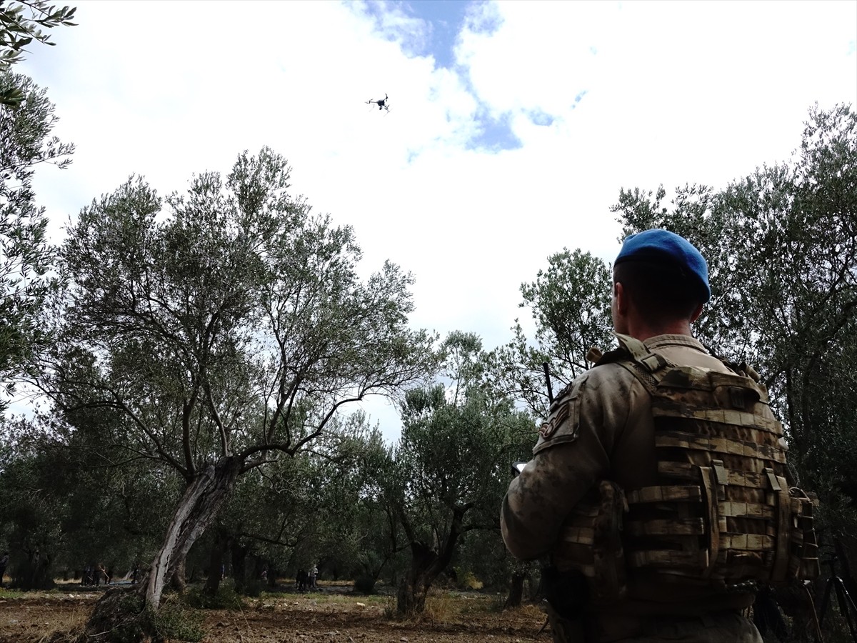 Türkiye'nin zeytinyağı üretiminin yüzde 10'unun karşılandığı Balıkesir'de zeytin hasadının...