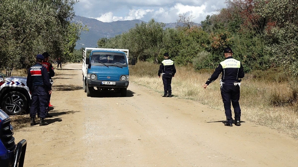 Türkiye'nin zeytinyağı üretiminin yüzde 10'unun karşılandığı Balıkesir'de zeytin hasadının...