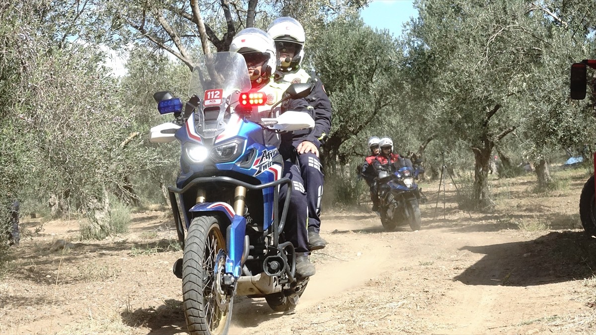 Türkiye'nin zeytinyağı üretiminin yüzde 10'unun karşılandığı Balıkesir'de zeytin hasadının...