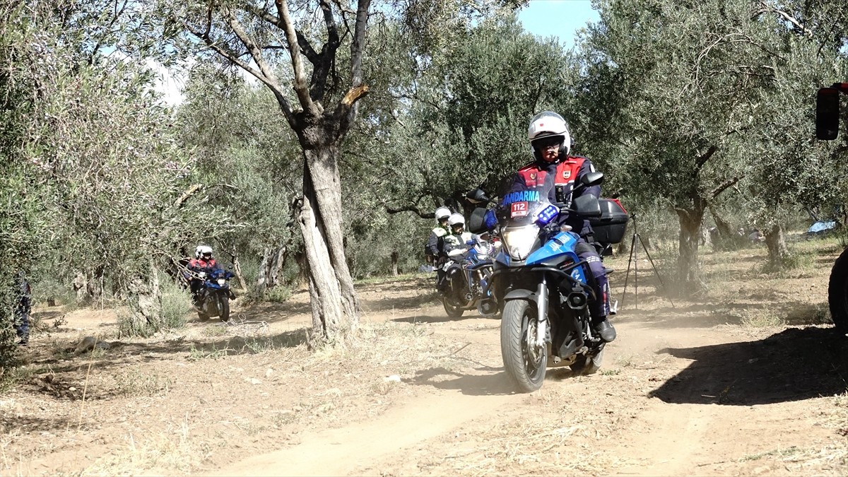 Türkiye'nin zeytinyağı üretiminin yüzde 10'unun karşılandığı Balıkesir'de zeytin hasadının...