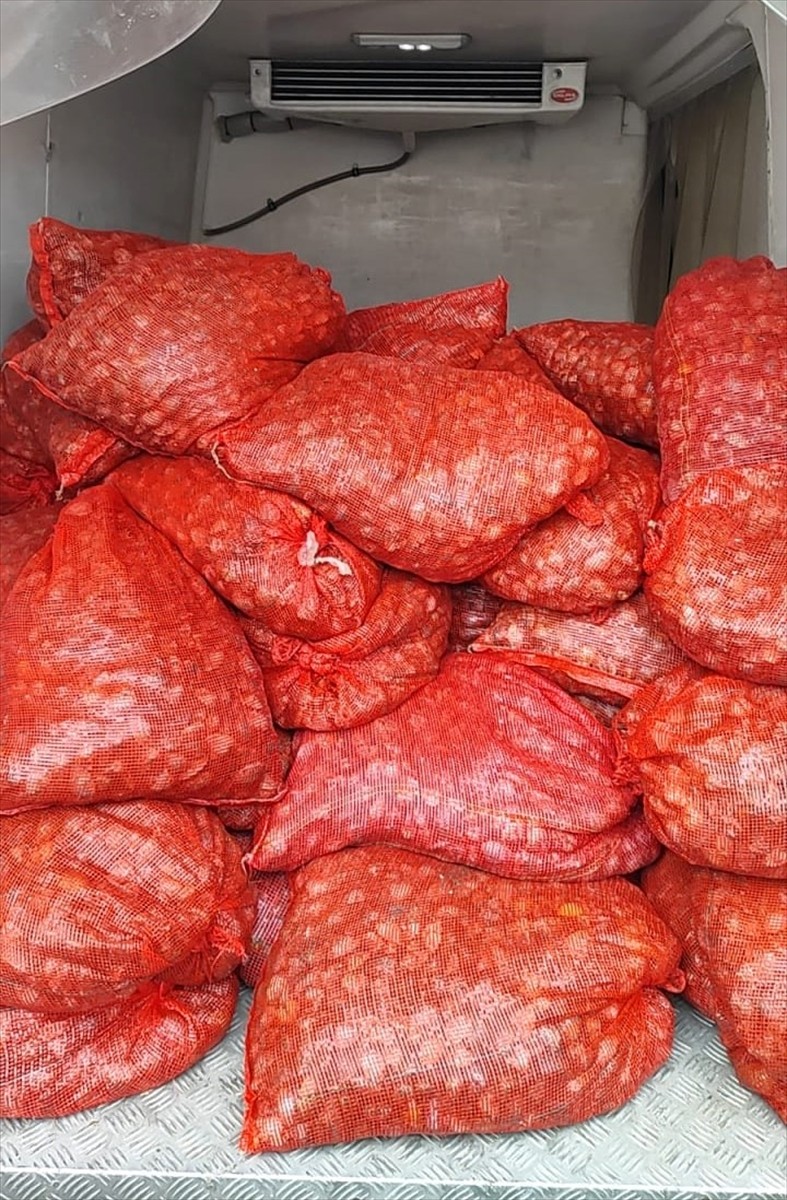 Edirne'de 2024 yılında, kum midyesi kaçakçılığı yaparken yakalanan 46 kişiye, toplam 11 milyon 991...