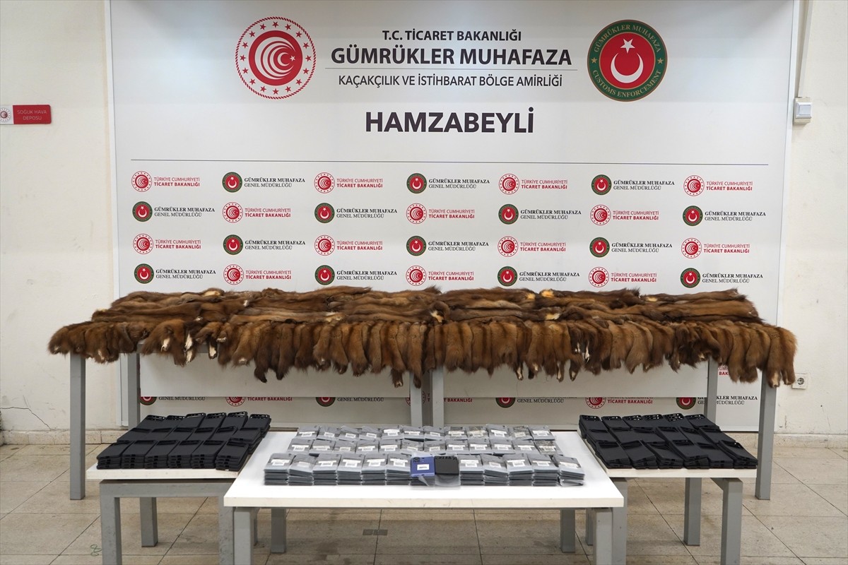 Edirne'de Hamzabeyli Sınır Kapısı'nda iki ayrı operasyonda 155 samur postu ve 239 akıllı cep...