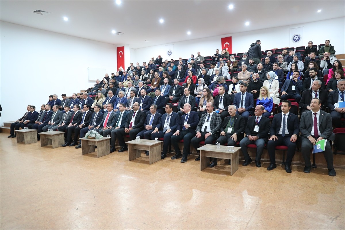 Erzincan'ın turistik ilçesi Kemaliye'de, sınır ilçeler Sivas Divriği ve Malatya Arapgir'in de...