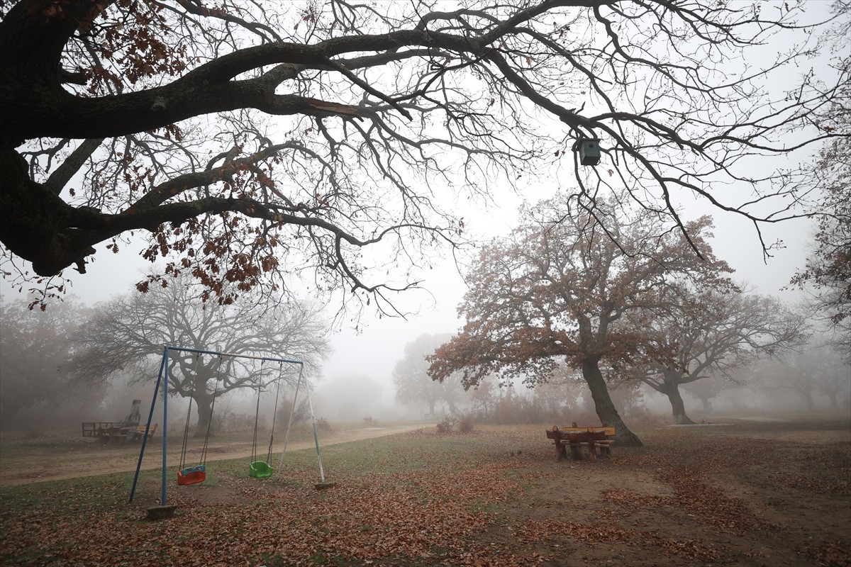 Kırklareli'nde yoğun sis hayatı olumsuz etkiledi. Kentte sabah başlayan sis nedeniyle görüş...