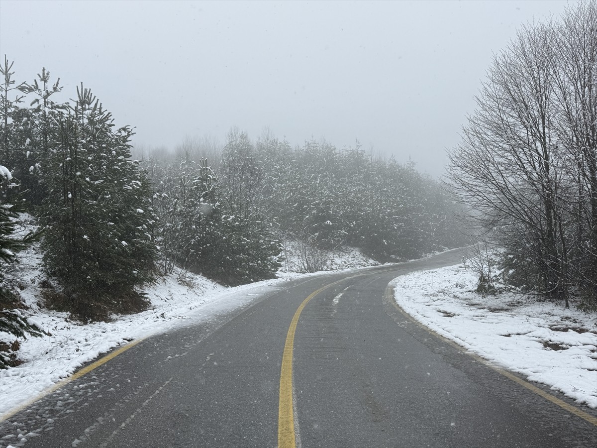 Sakarya'nın Kocaali ilçesinde etkili olan kar yağışı sonrası yüksek kesimler beyaz örtüyle...