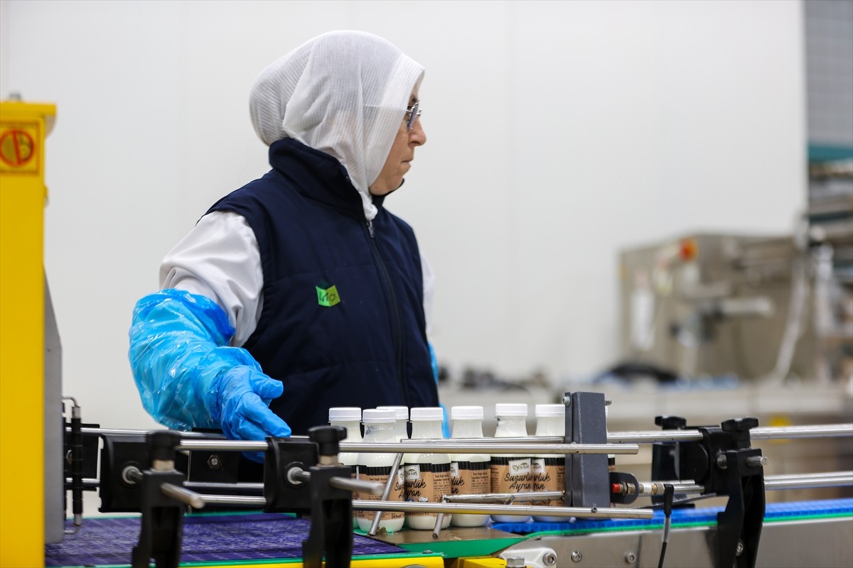 Süt ve süt ürünleri alanında Türkiye'nin en eski markalarından Yörsan, iflasının ardından el...