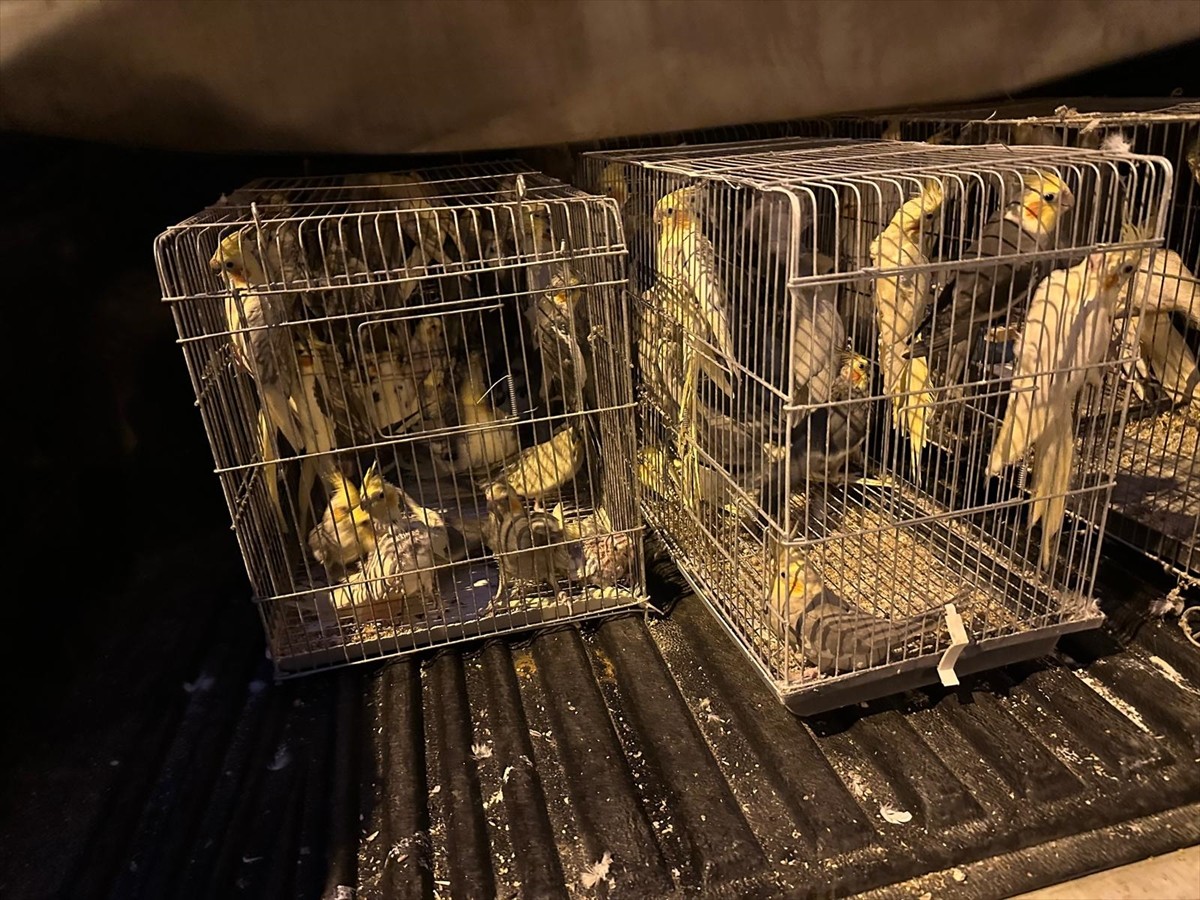 Tekirdağ'da düzenlenen kaçakçılık operasyonunda 15 şüpheli gözaltına alındı. Operasyonlarda, 235...