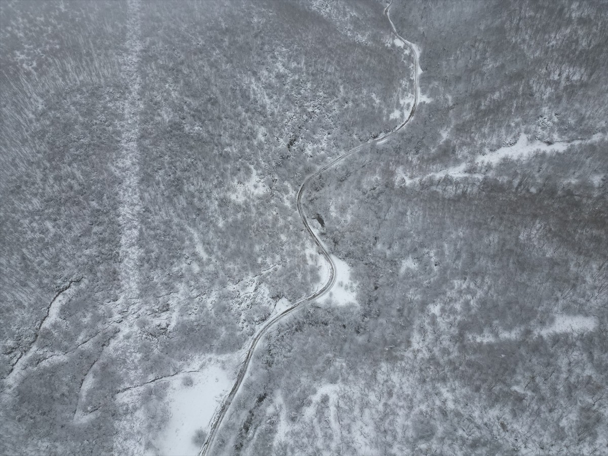 Tekirdağ'ın yüksek kesimlerinde kar etkili oldu, Ganos Dağı eteklerinde yer alan ormanlık alan...