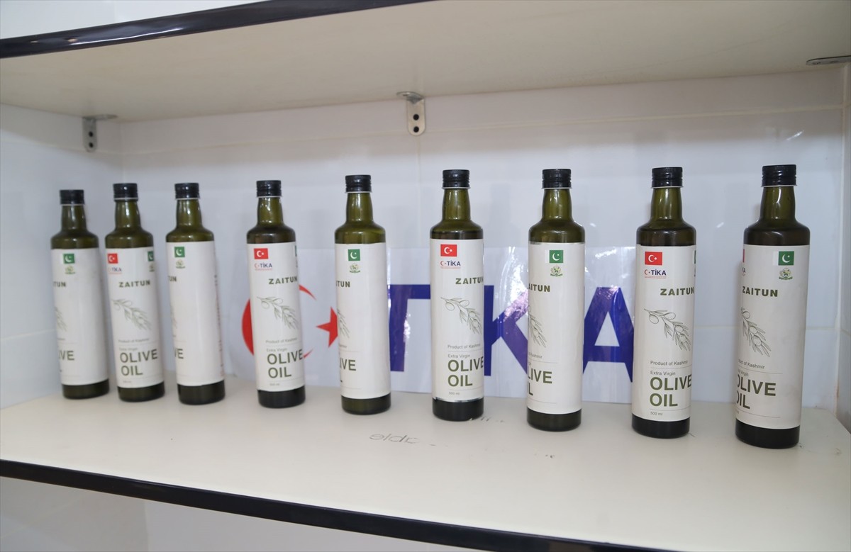 Türk İşbirliği ve Koordinasyon Ajansı Başkanlığı (TİKA), Pakistan'da zeytinyağı üretim ünitesi...
