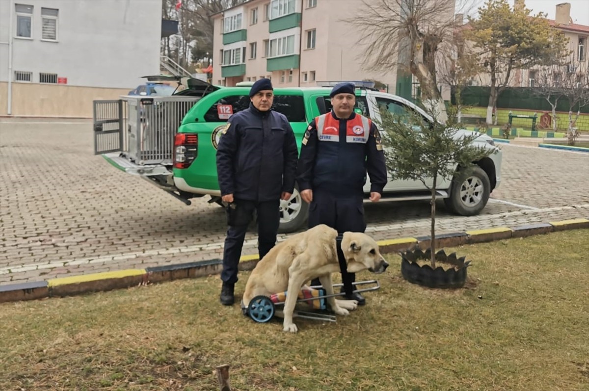  Yozgat'ta, Çayıralan İlçe Jandarma Komutanı Astsubay Kıdemli Başçavuş Haluk Aktan ile Çevre, Doğa...