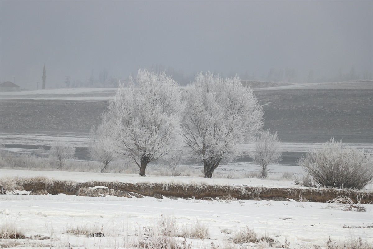Ağrı'da etkili olan soğuk hava nedeniyle ağaçlar kırağı tuttu.