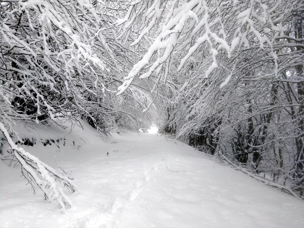  Amasya'nın yüksek kesimlerinde kar yağışı etkili oldu. Dereli, Belevi ve Tekke yaylalarında öğle...