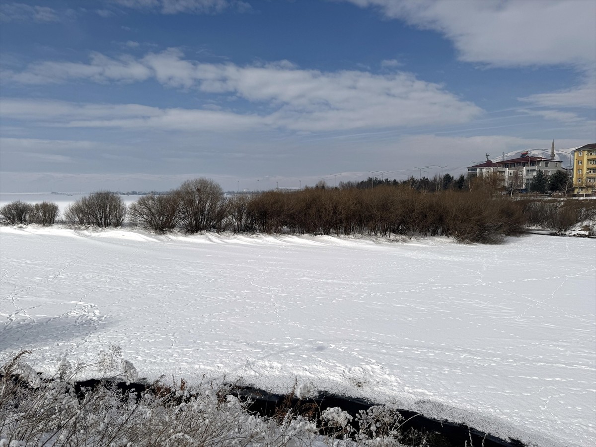 Ardahan'da da soğuk hava etkisini sürdürüyor. Kent genelinde yollarda buzlanma oluştu, bazı...