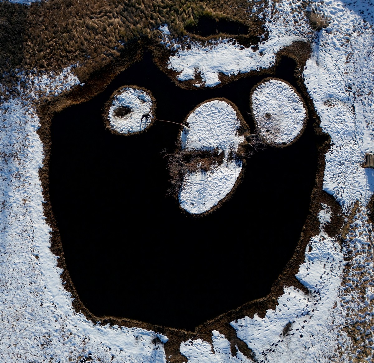 Bingöl'ün Solhan ilçesinde Turna Gölü'ndeki yüzen adalar, her mevsim doğaseverlerin ilgi odağı...