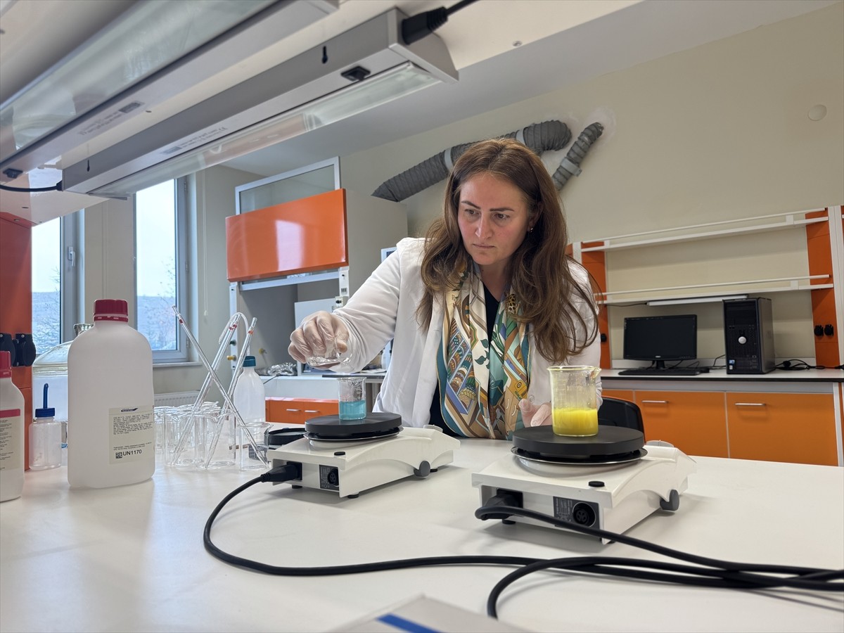 Çankırı Karatekin Üniversitesi (ÇAKÜ) ve Kırşehir Ahi Evran Üniversitesinden (KAEÜ) akademisyenler...