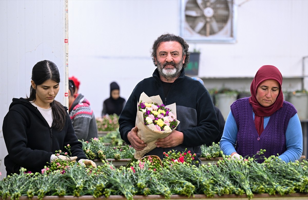 Geçen yıl 141 milyon dolarlık ihracata imza atan çiçek sektörü, yüksek oranda çiçek ithalatı yapan...