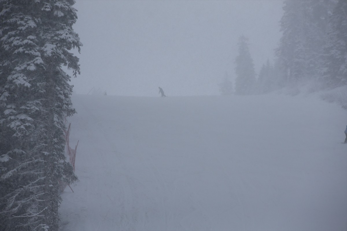 Ilgaz Dağı Milli Parkı'nda kar yağışı ve sis etkili oldu.