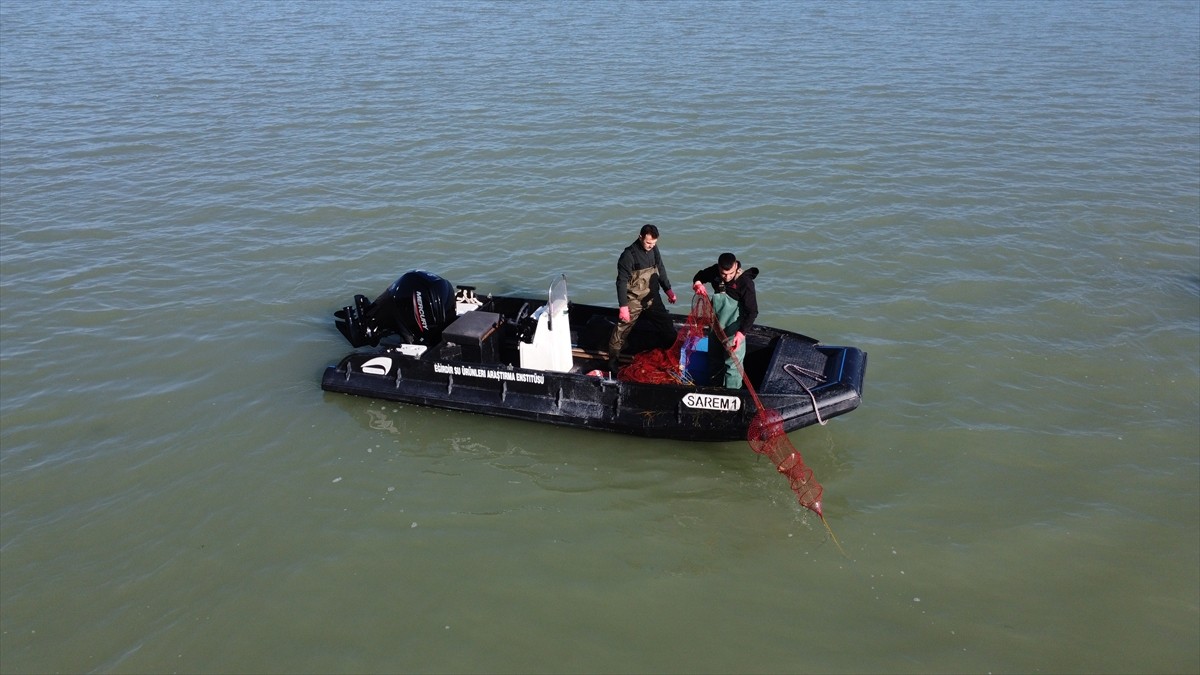 Isparta'da Eğirdir Su Ürünleri Araştırma Enstitüsü Müdürlüğü (SAREM) mühendislerince, üç yıl süren...