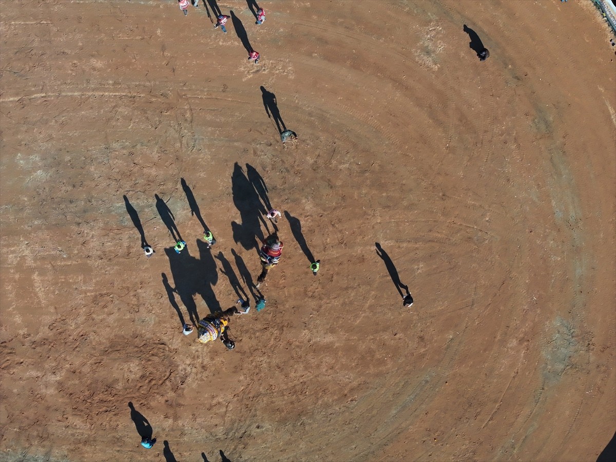 İzmir'in Selçuk ilçesinde düzenlenen ve "Deve güreşlerinin Kırkpınar'ı" olarak nitelendirilen Efes...