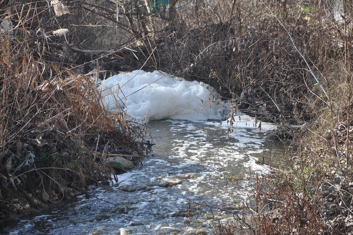 Kırklareli'nin Lüleburgaz ilçesinde Saranlı Deresi'nin kirlilikten rengi değişti. Derenin bazı...