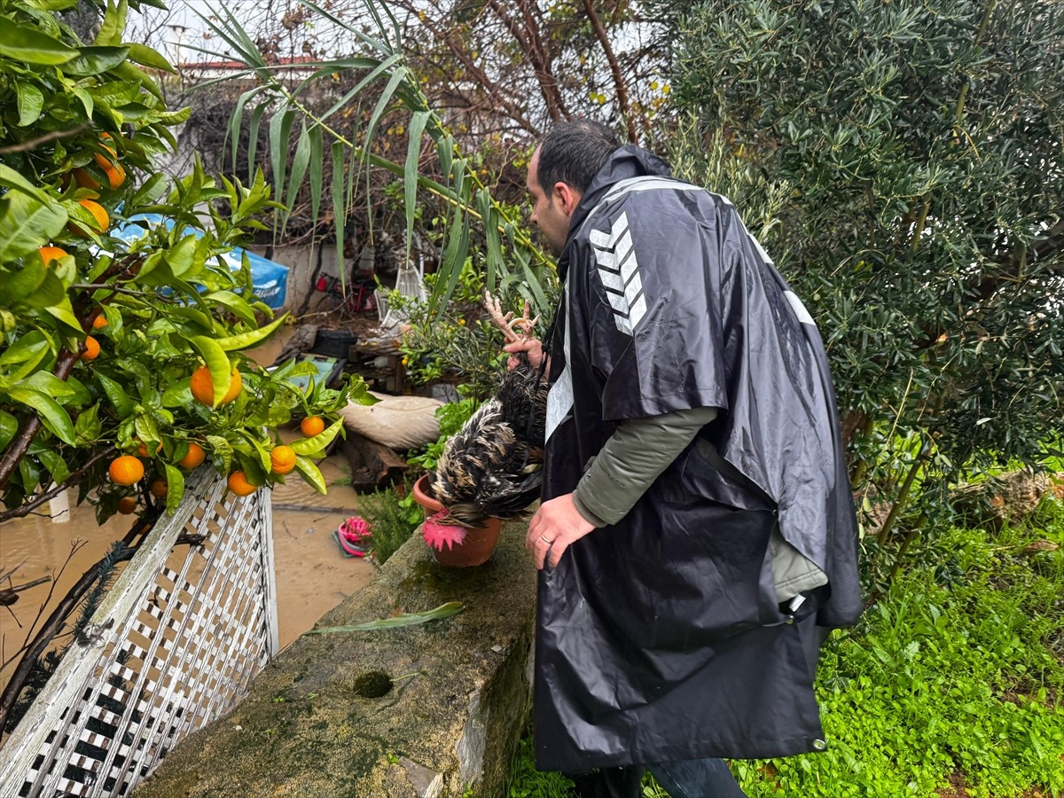 Muğla'nın Datça ilçesinde sağanak yaşamı olumsuz etkiledi. Datça ilçesinde sabah saatlerinde...