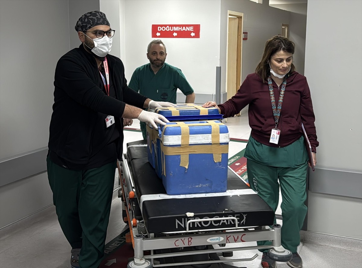 Rize'de trafik kazası sonucu yaralanan ve tedavi gördüğü hastanede beyin ölümü gerçekleşen 18...