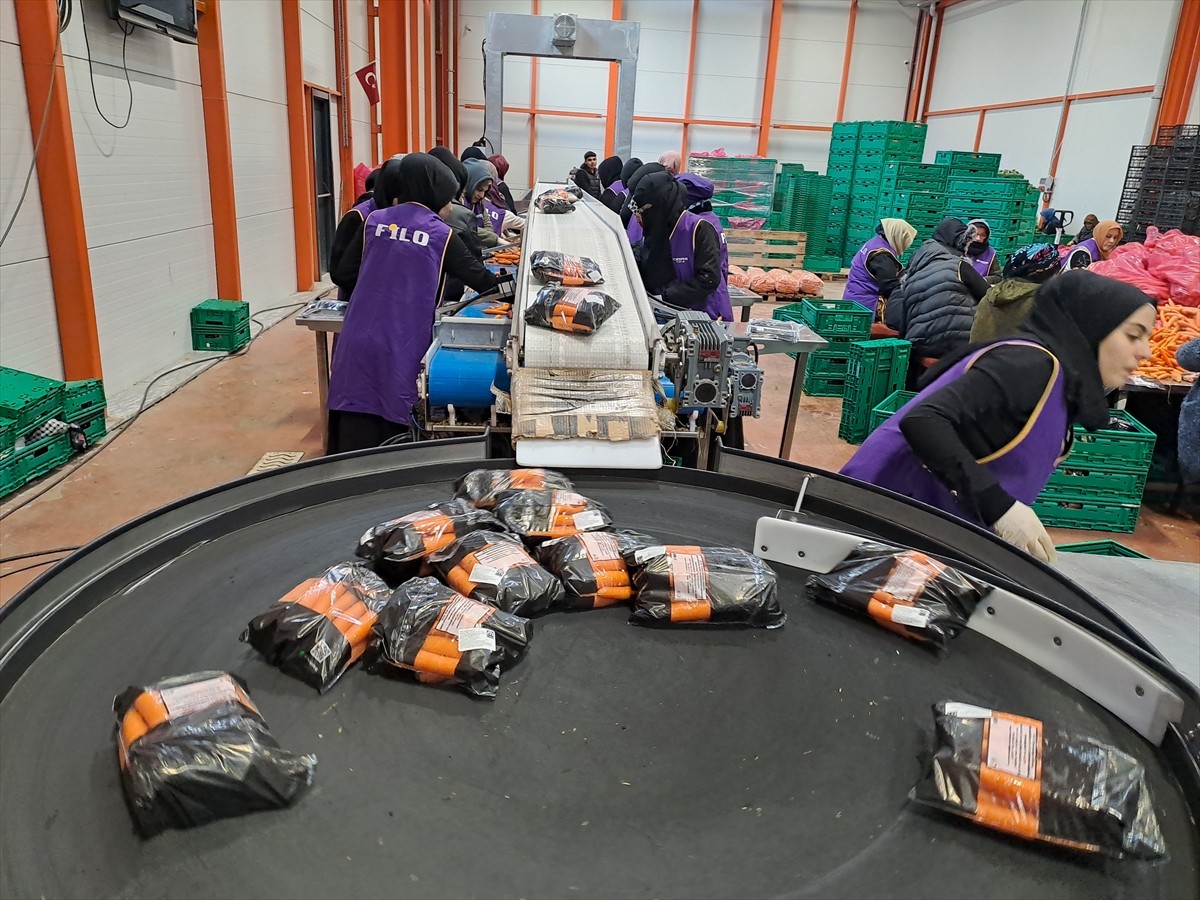 Sakarya'da ekolojik sebze ve meyve ürünleri işleme fabrikası kuran Erhan Fidan, Tarım ve Orman...