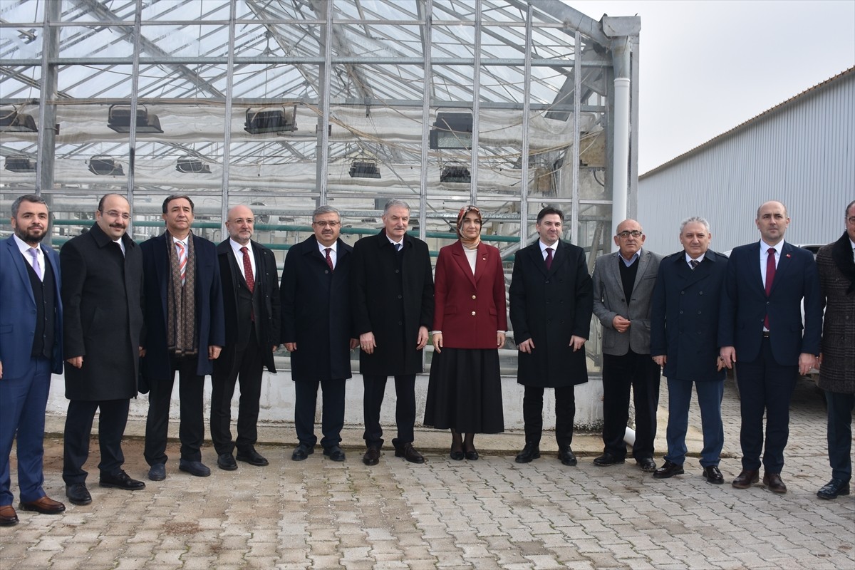 Tarım ve Orman Bakan Yardımcısı Ahmet Bağcı (sağ 4), Bolvadin ilçesindeki Alkaloid fabrikasının...