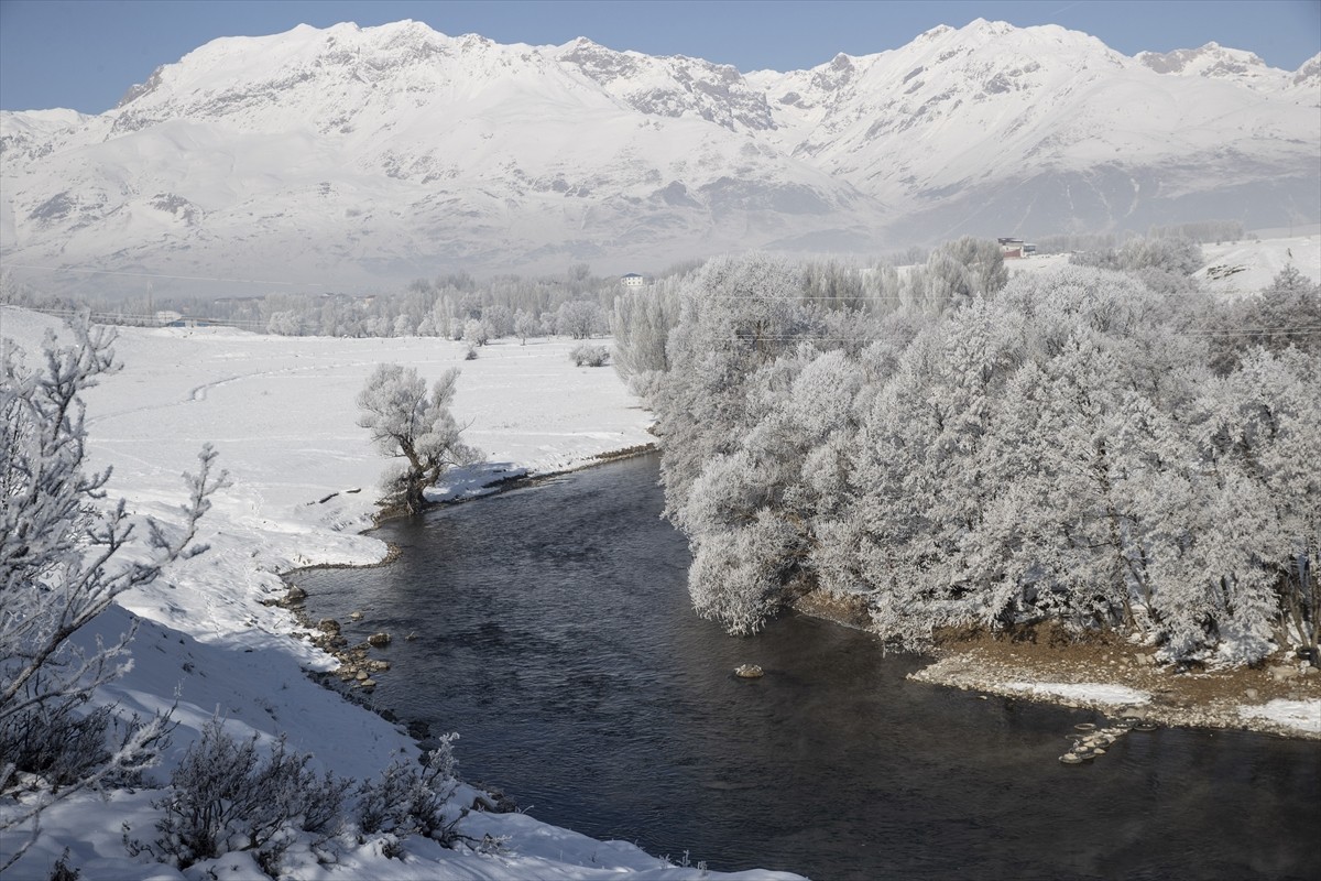 Tunceli'deki Munzur ve Pülümür vadilerinde soğuk havanın etkisiyle ağaçlarda kırağı...