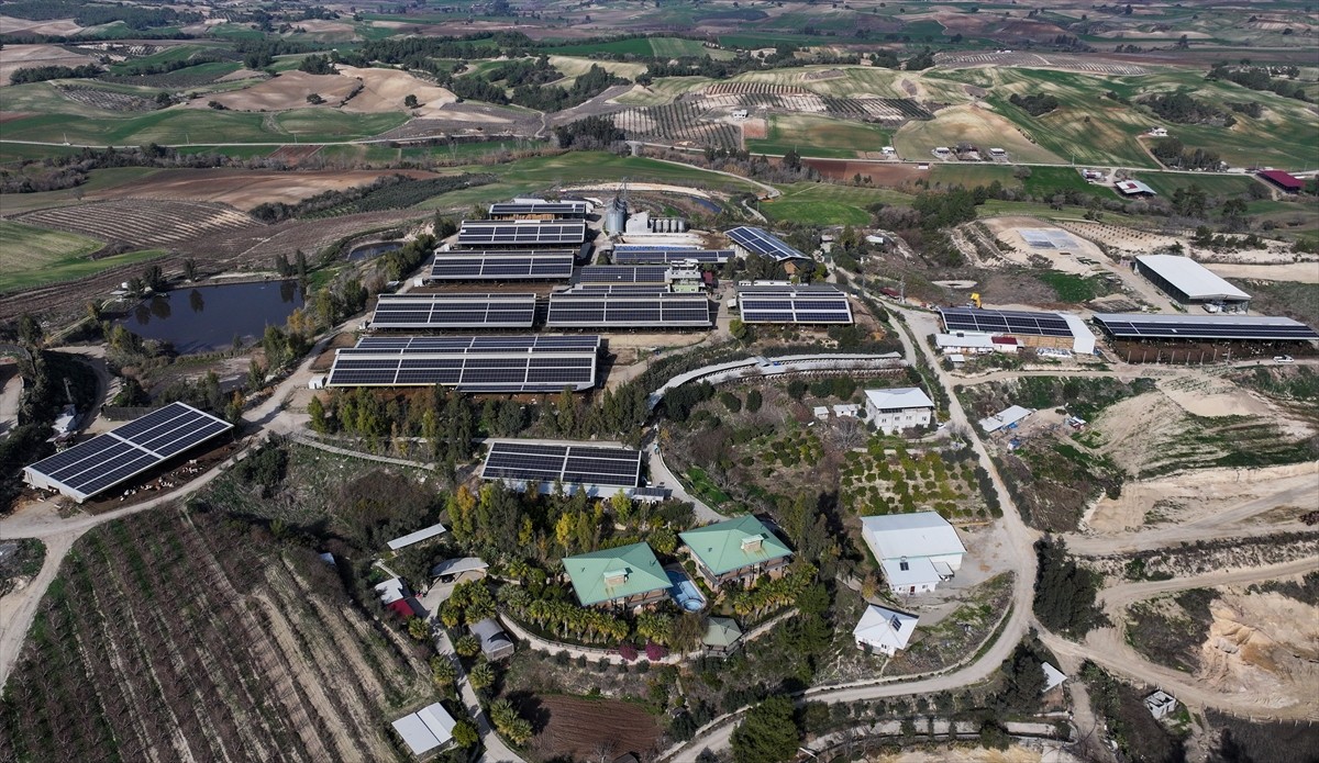 Adana'da elektrik ve su ihtiyacını doğadan karşılayan çiftlikte, hayvanların gübreleri de meyve...