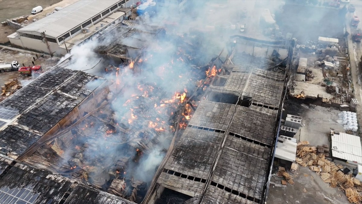 Afyonkarahisar'da orman ürünleri fabrikasında çıkan yangın kontrol altına alındı.