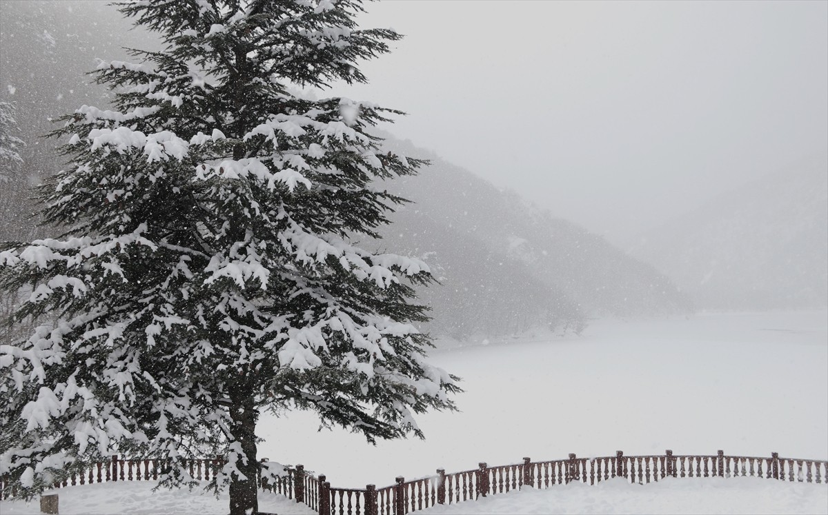 Amasya'nın Taşova ilçesindeki Boraboy Gölü Tabiat Parkı, kar yağışının ardından beyaz örtüyle...