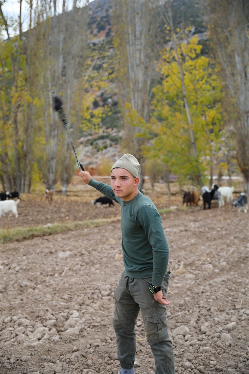Antalya’nın Elmalı ilçesinde keçi çobanlığı yaparken yetenek taraması sonrasında bocceye başlayan...