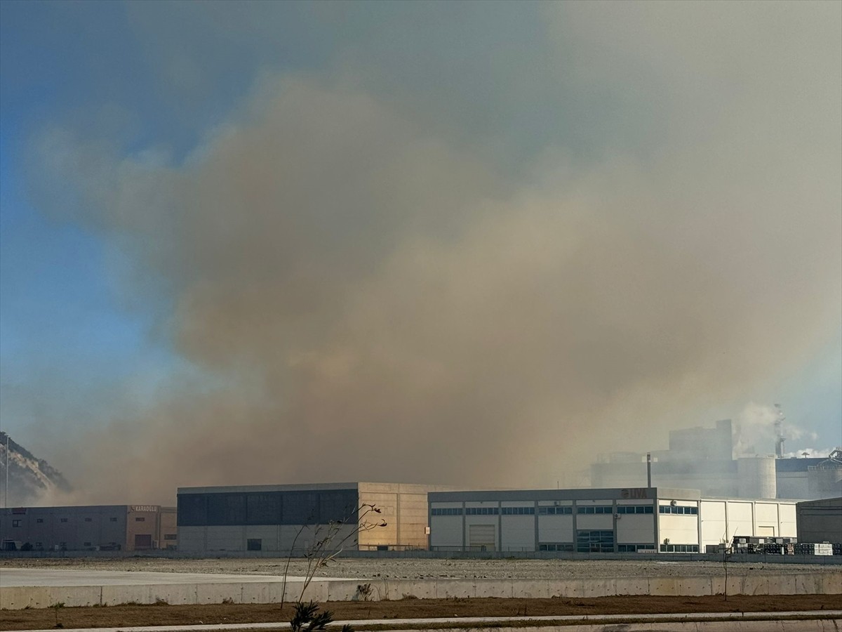 Aydın'ın Söke ilçesinde, Söke Organize Sanayi Bölgesi'nde faaliyet gösteren bir kağıt fabrikasının...
