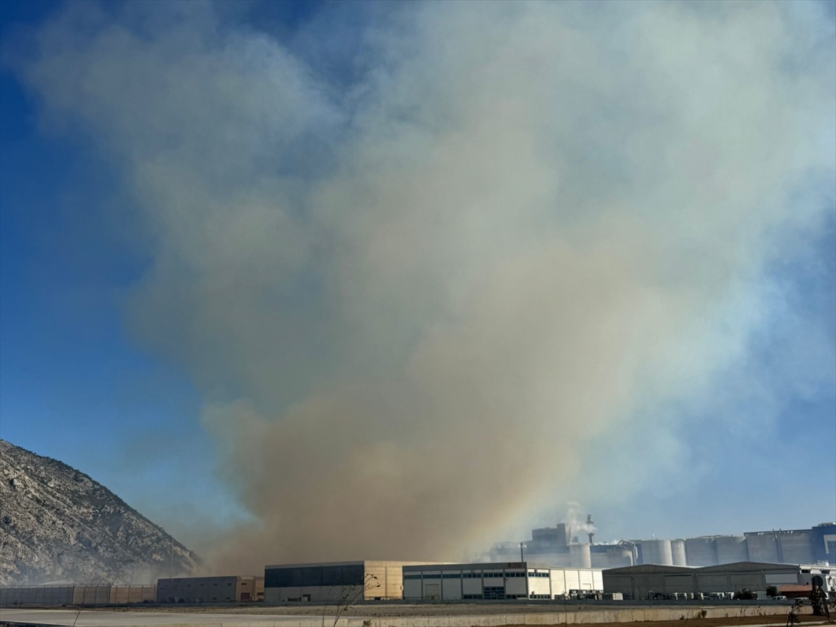 Aydın'ın Söke ilçesinde, Söke Organize Sanayi Bölgesi'nde faaliyet gösteren bir kağıt fabrikasının...