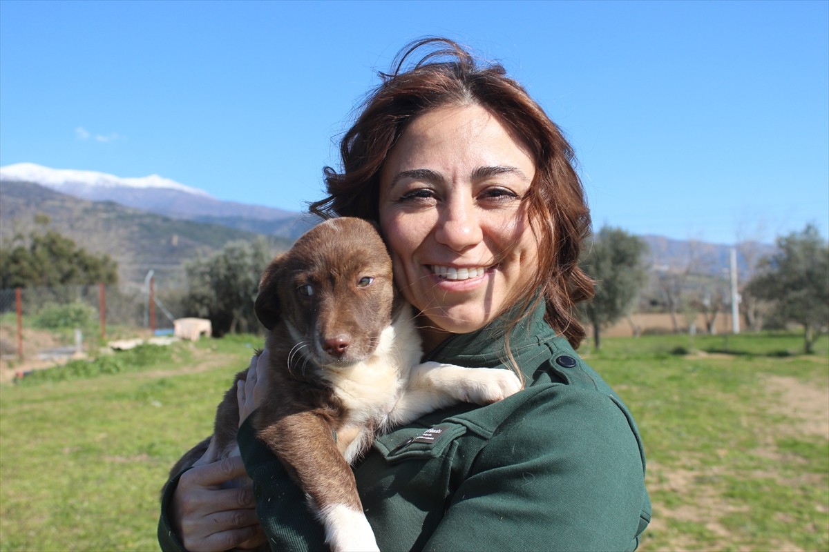 Hollanda'nın Den Bosch kentinde sahipsiz hayvanlarla ilgili dernek kurup çalışmalar yapan cerrah...