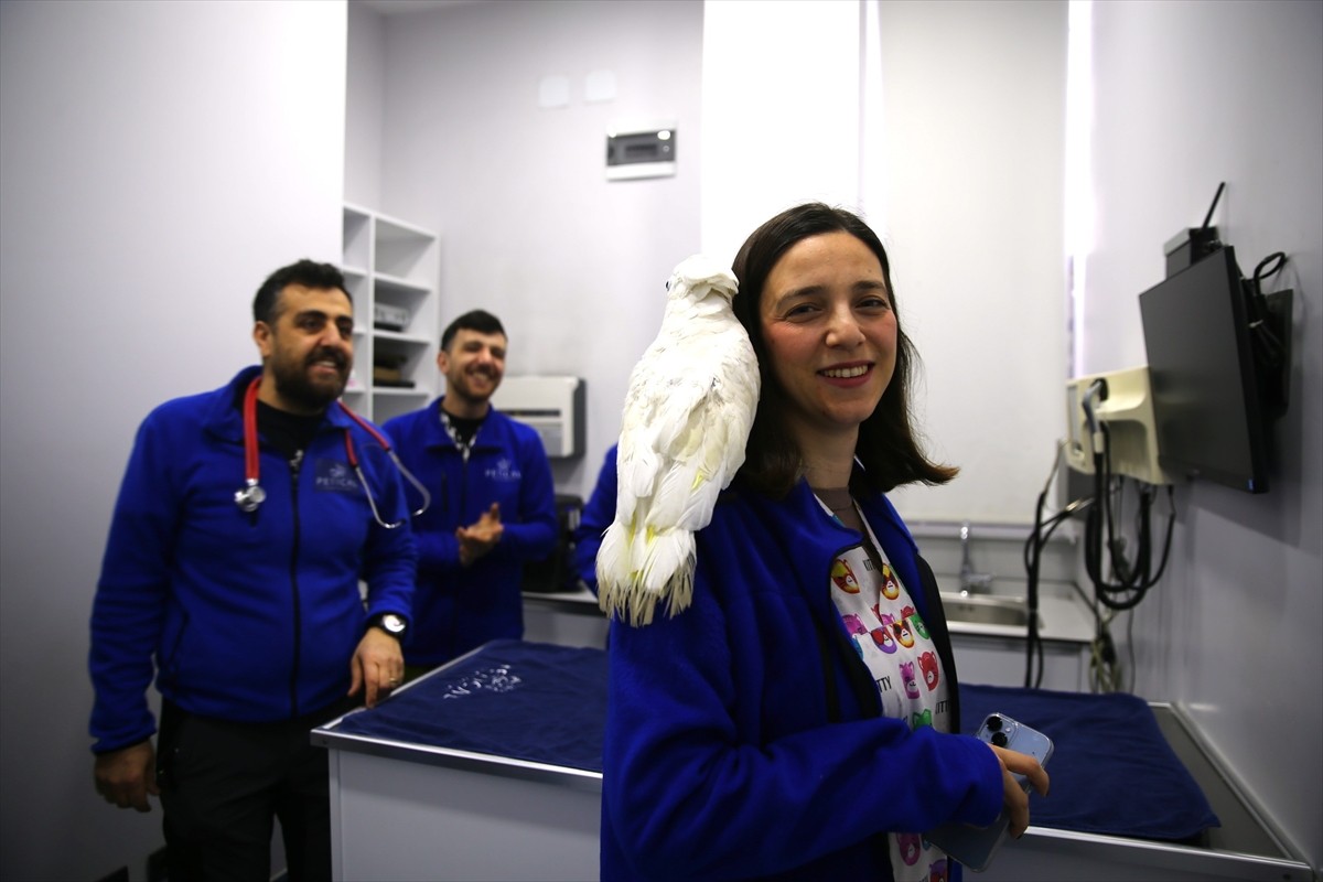 Mersin'de "Ares" isimli papağan tedavi için götürüldüğü hayvan hastanesindeki dansıyla...