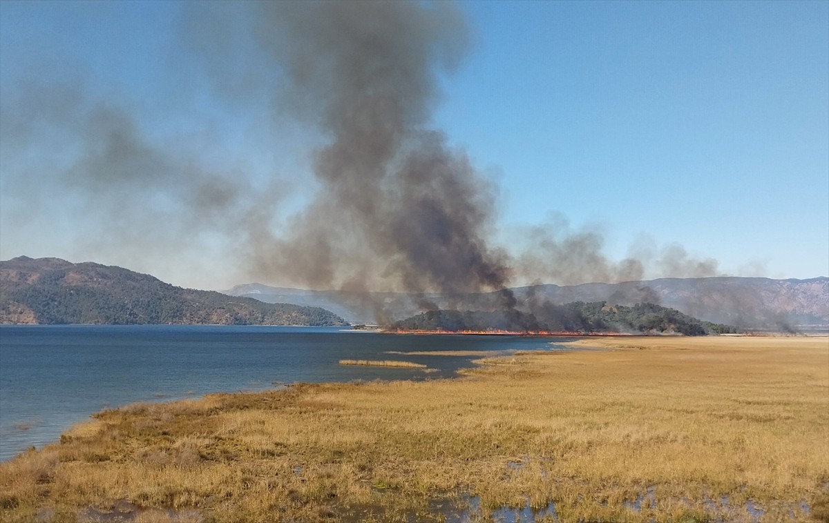 Muğla'nın Köyceğiz ilçesinde göldeki sazlık alanda yangın çıktı. Köyceğiz Gölü yakınındaki Gedova...