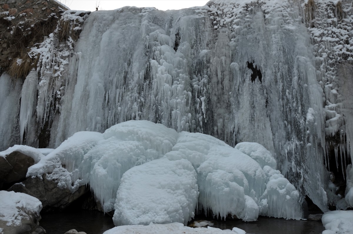 Muş'ta etkili olan soğuk hava nedeniyle Çar Çayı Şelalesi tamamen dondu.