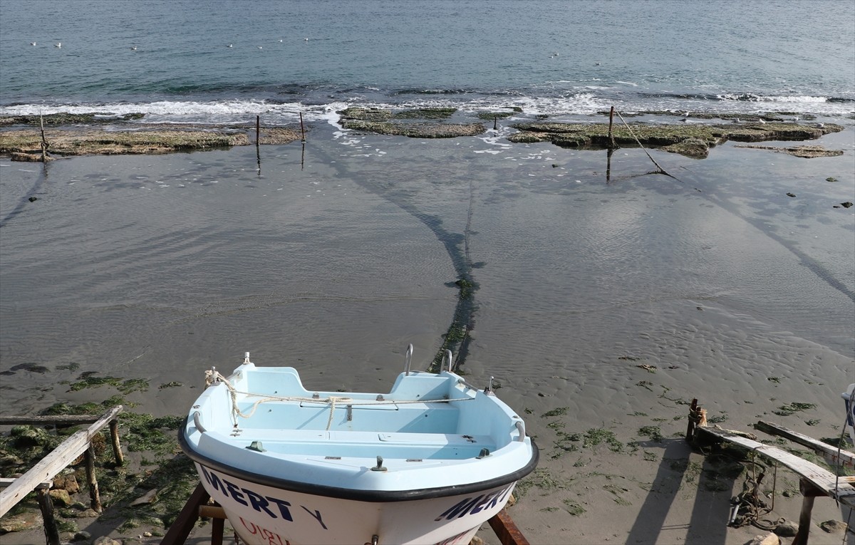 Tekirdağ'ın Süleymanpaşa ilçesinde denizde çekilme yaşandı. Altınova Mahallesi'nde deniz suyunun...