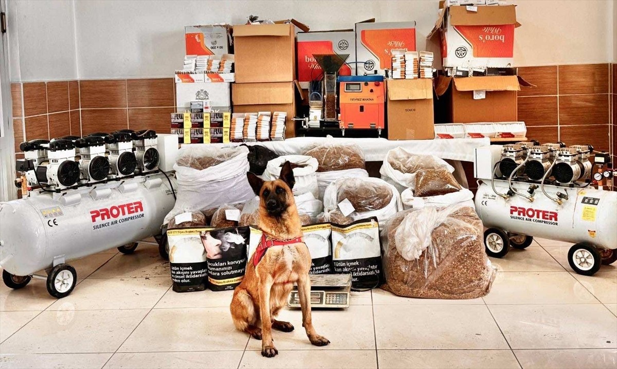 Tokat'ın Yeşilyurt ilçesinde kaçak telefon ve tütün operasyonunda 3 kişi gözaltına alındı. Yapılan...