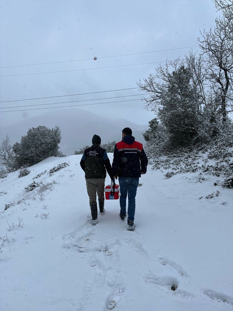 Zonguldak'ın Karadeniz Ereğli ilçesinde şap hastalığı şüphesiyle bir köyde karantina başlatıldı....