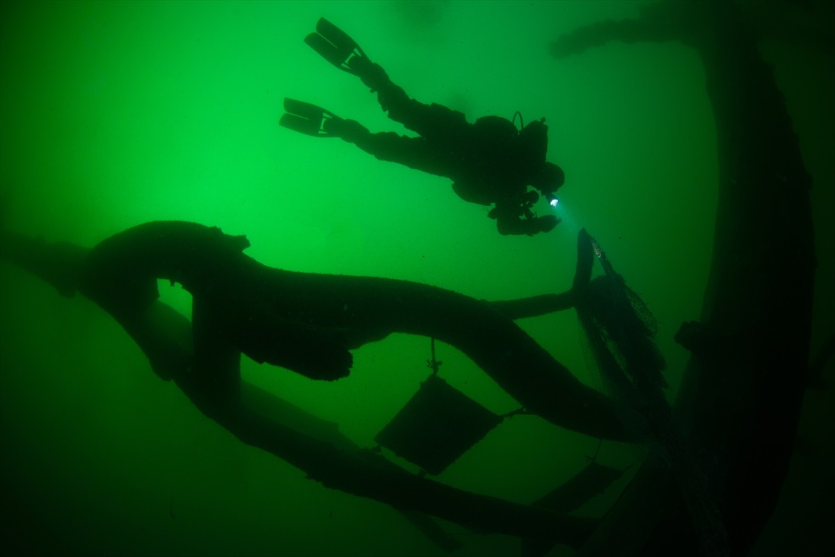 17 Ağustos 1999 Marmara Depremi'nde Kocaeli'nin Gölcük ilçesinde su altında kalan çınar ağaçları...