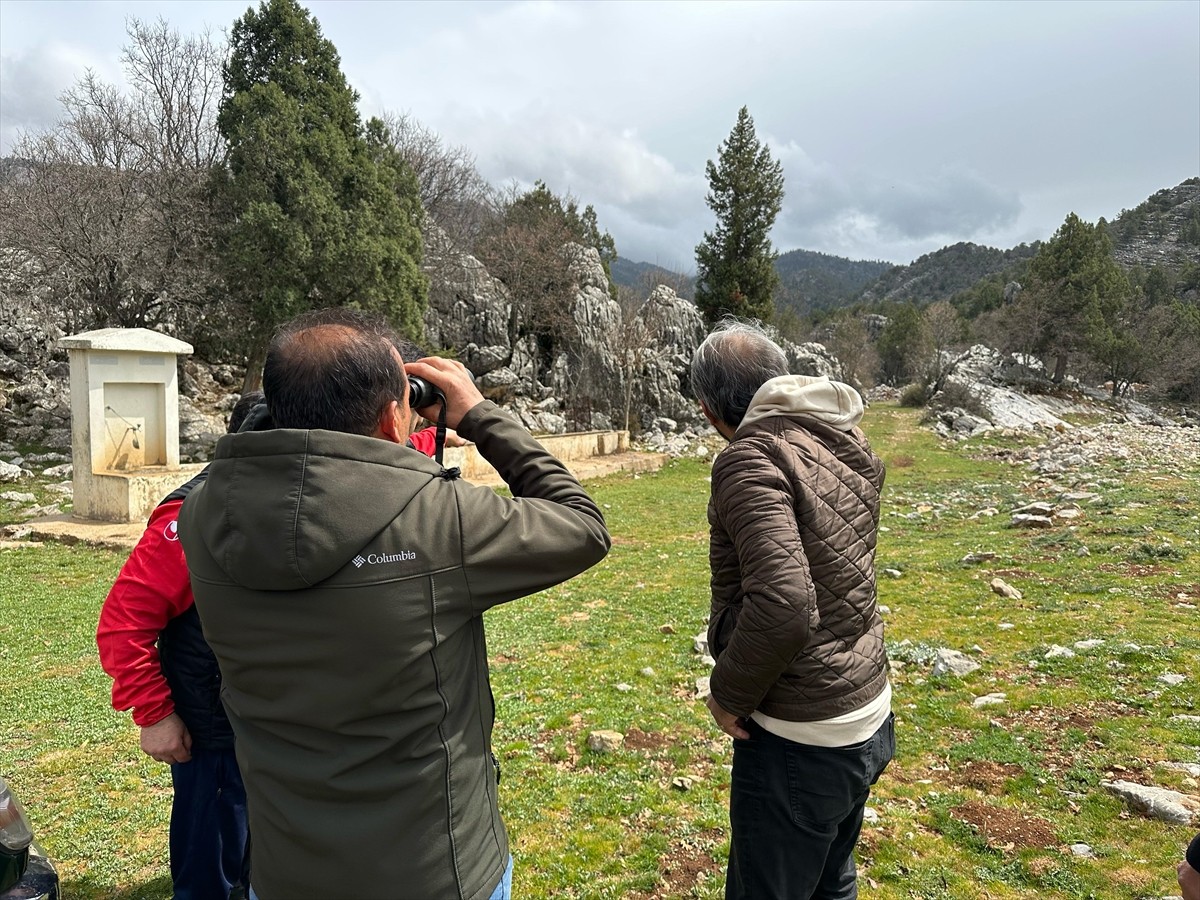 Antalya'nın Akseki ilçesinde sokak köpeklerinden korkarak kaçan 25 keçi, köylülerin ve jandarmanın...