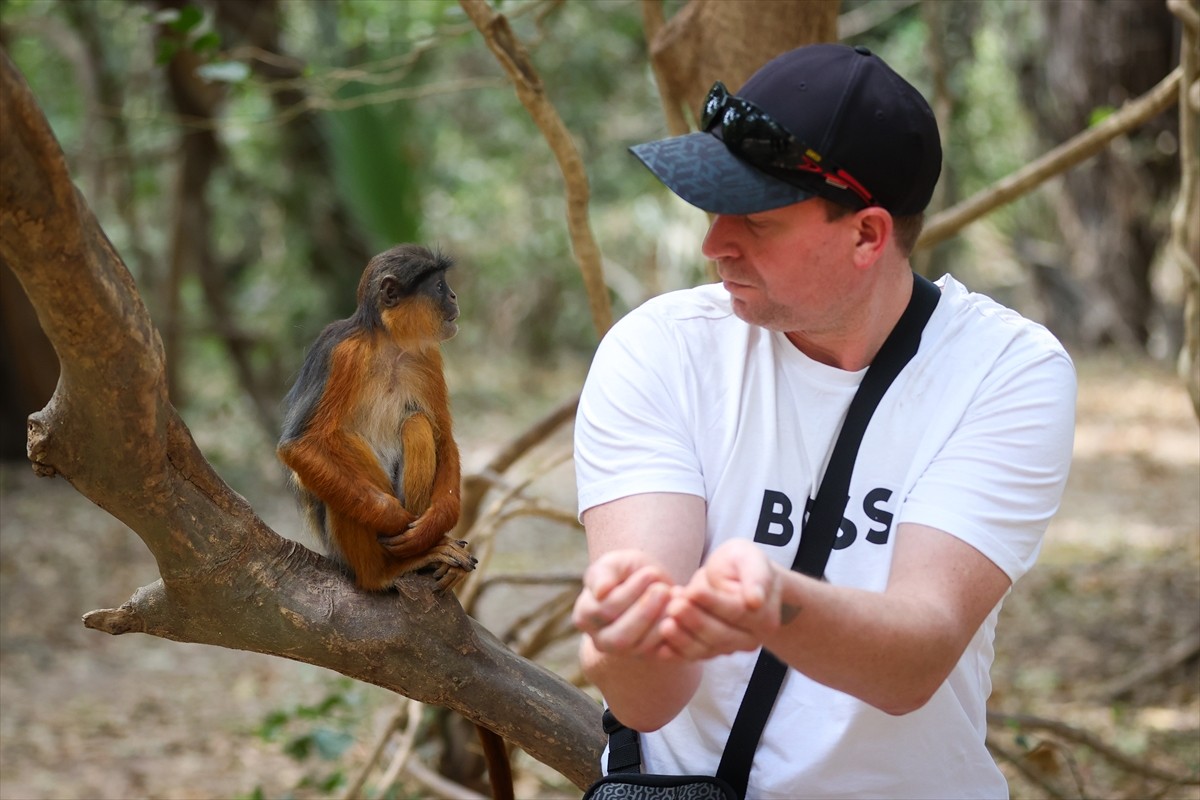 Batı Afrika ülkesi Gambiya’da yer alan Bijilo Orman Parkı, zengin doğal yaşamı ve özellikle maymun...